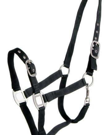 Halters & ropes